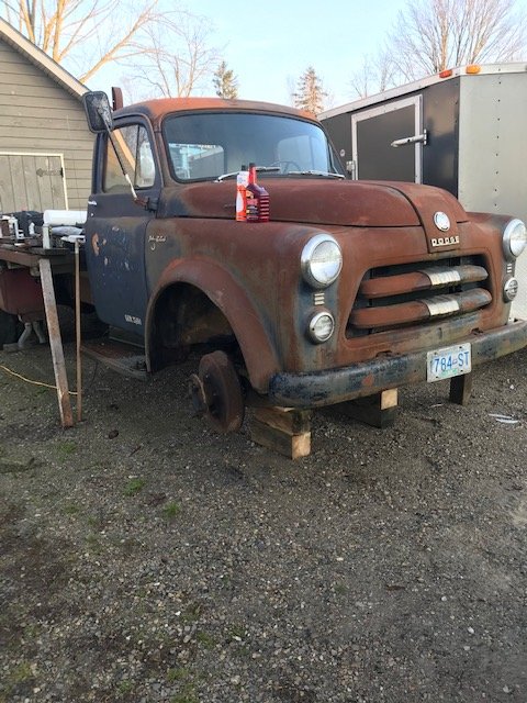 1954 Dodge Truck Mod. C 1 J 71 - Mopar Flathead Truck Forum - P15-d24 