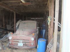 in the shed, ready to see the sun again