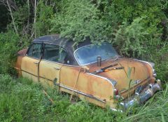 54 Belvedere beached