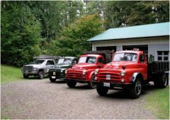 Dodge_Fleet