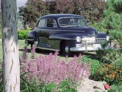 1946 Dodge Town Sedan