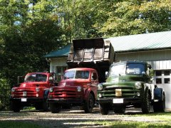 Three In A Row 4, 2-1/2 and 1- ton 1951-53 Dodge trucks