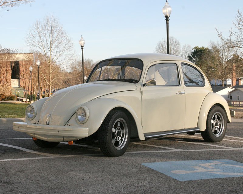 beetle5.jpg.a2c72d0ff5927c9de5211d082ffd8d3f.jpg