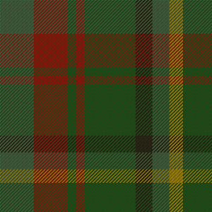 tartan.gif.6b8300f58cc516d171b914387440d41c.gif