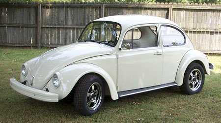 beetle-9685.jpg.f68fd1d415e6befc331f9ebbc7552d44.jpg