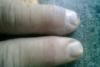 post-2477-13585369052445_thumb.jpg